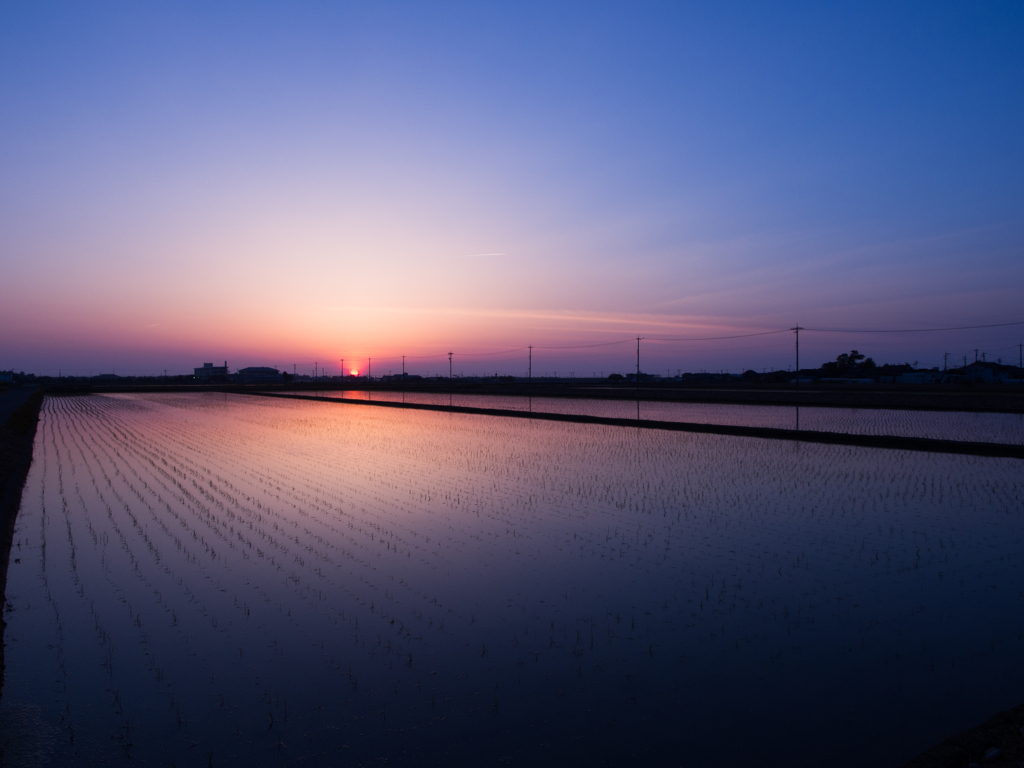 夕日の時間