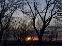 公園の夕日