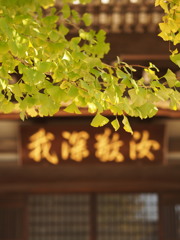 我深敬汝