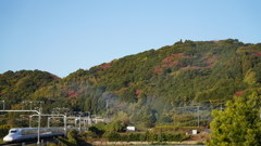 少しだけ紅葉と新幹線