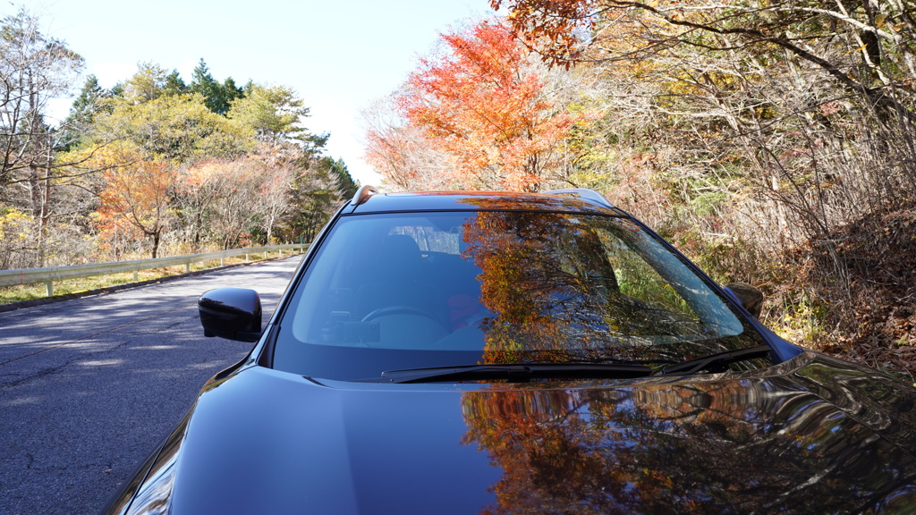 もっとしっかり洗車しておけば