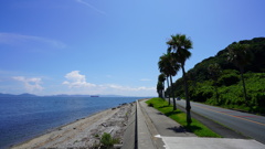 静かな夏