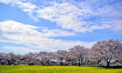 春色風景