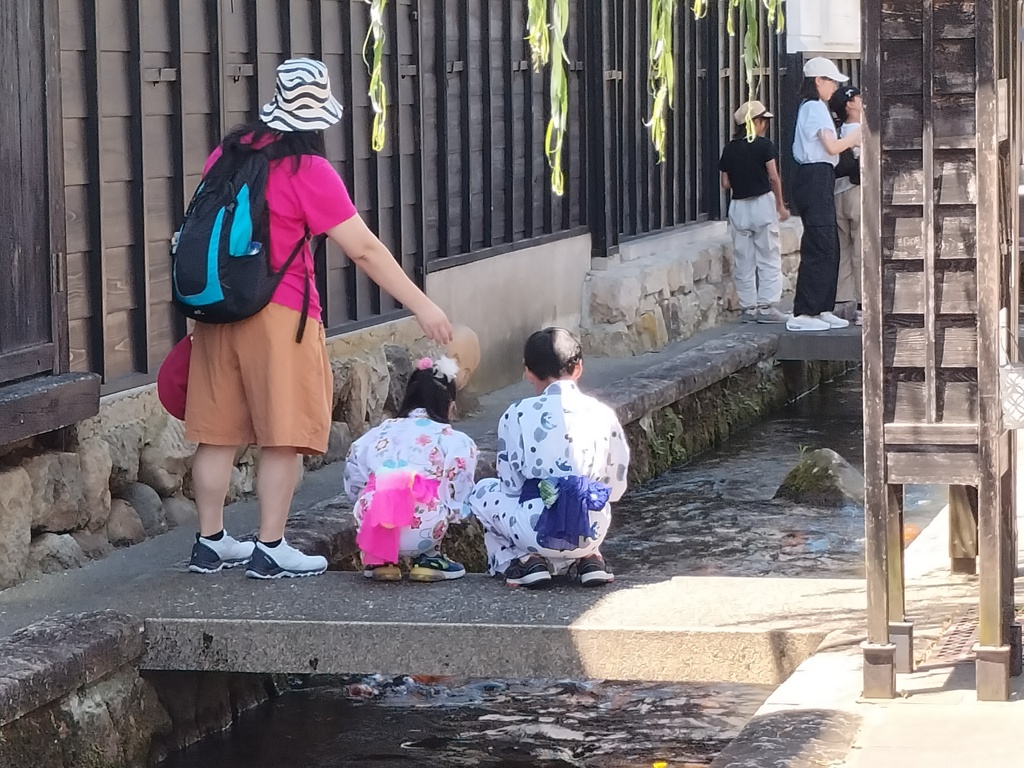 夏の風情のある場面