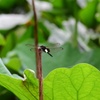 休憩