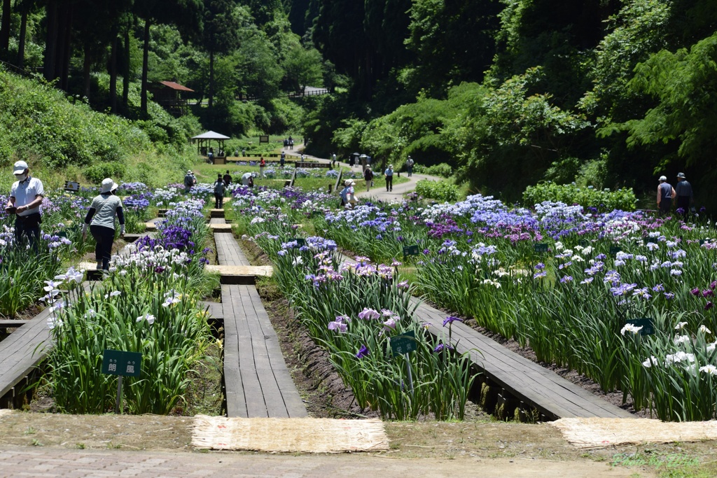 頼成の森