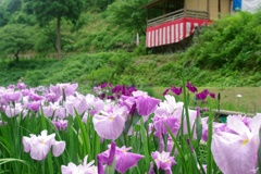 頼成の森