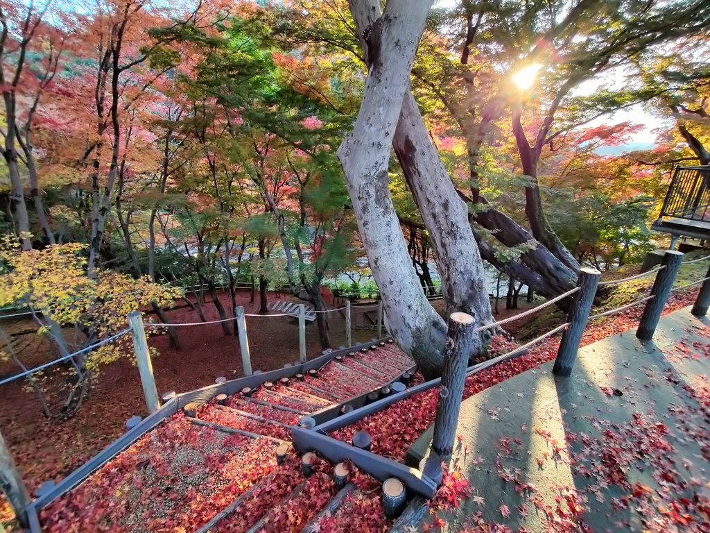 紅葉時期は立ち入り出来ない場所