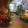 チューリップ四季彩館のハロウィン