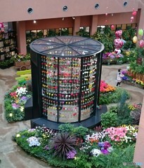 チューリップパレス③