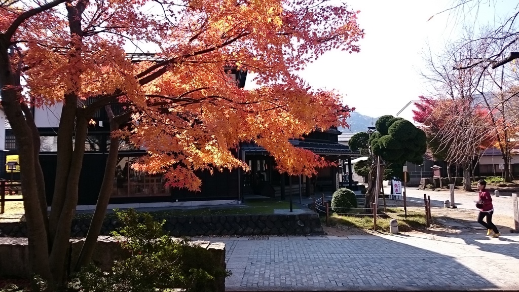 飛騨古川の秋晴れ