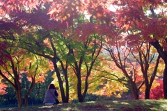 紅葉の中で