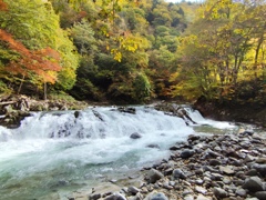 平滝の秋