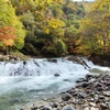 平滝の秋