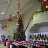 クリスマスツリー