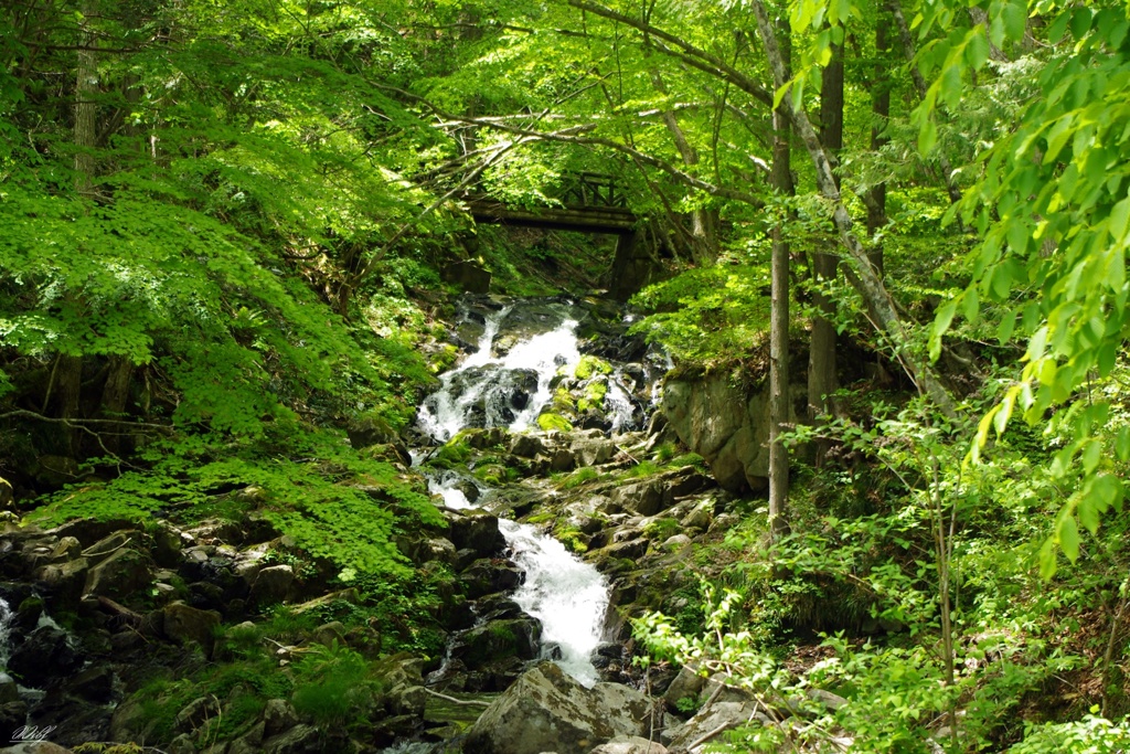 滑座(なめくら）の滝