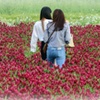 草原を歩く