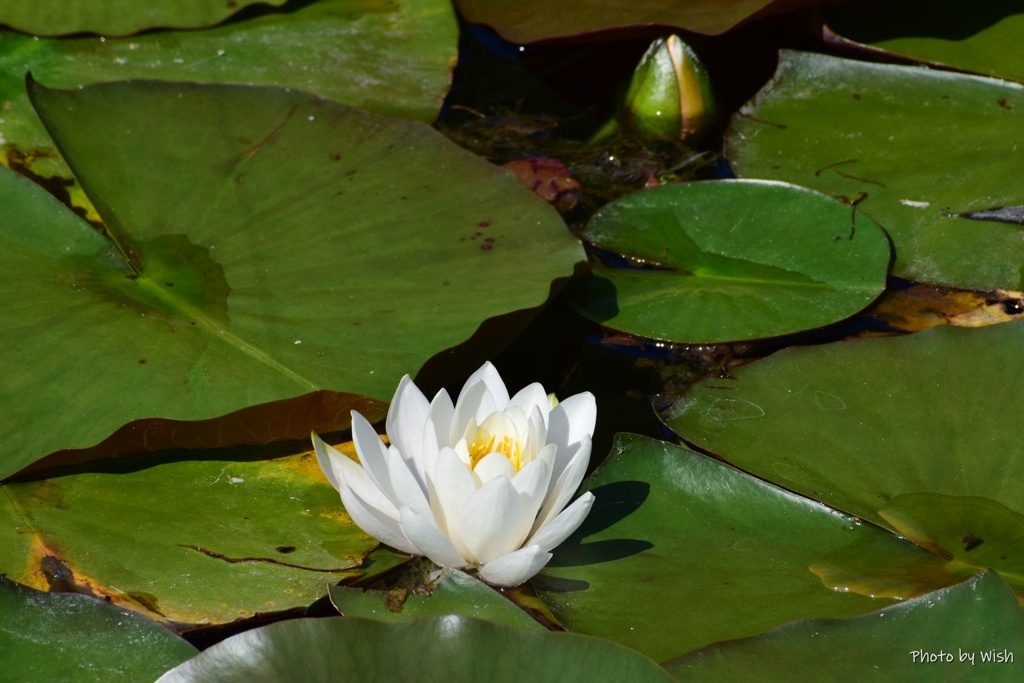 包み込むように