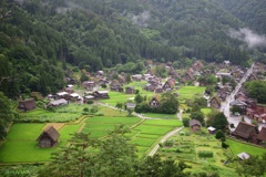 雨の白川郷