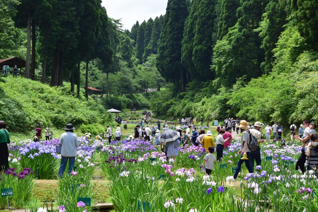 頼成の森