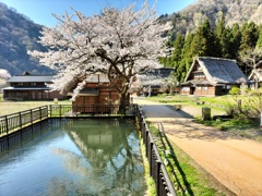 水面に映る春の風景