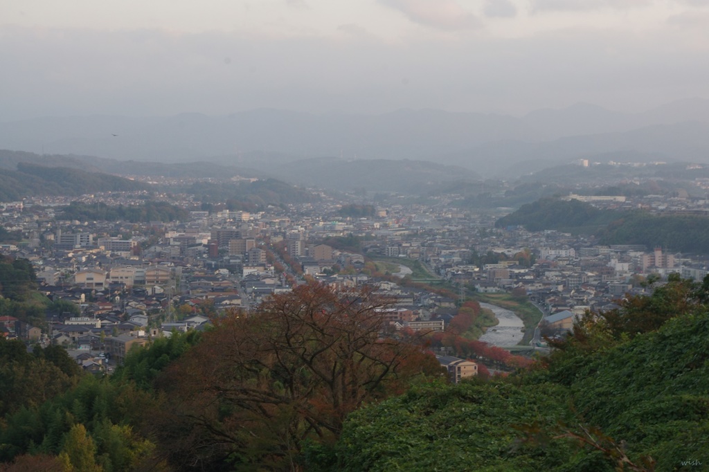 紅葉街路樹