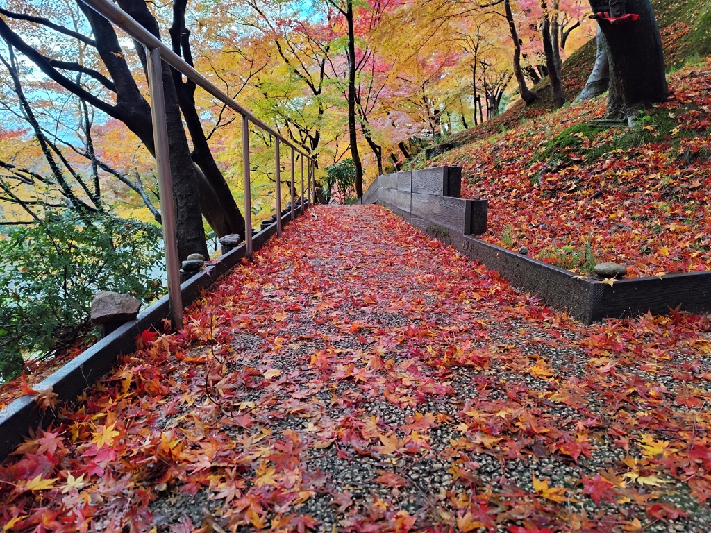 歩道を彩る