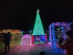 イルミネーション③