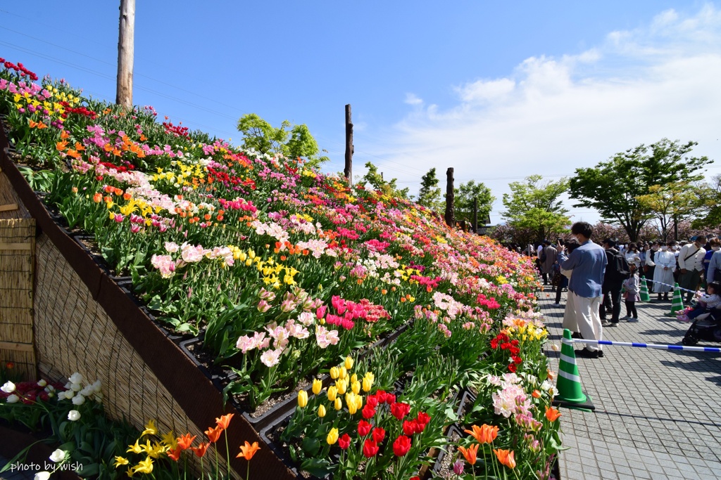 花の大谷