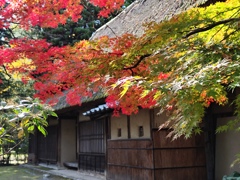 古民家の紅葉