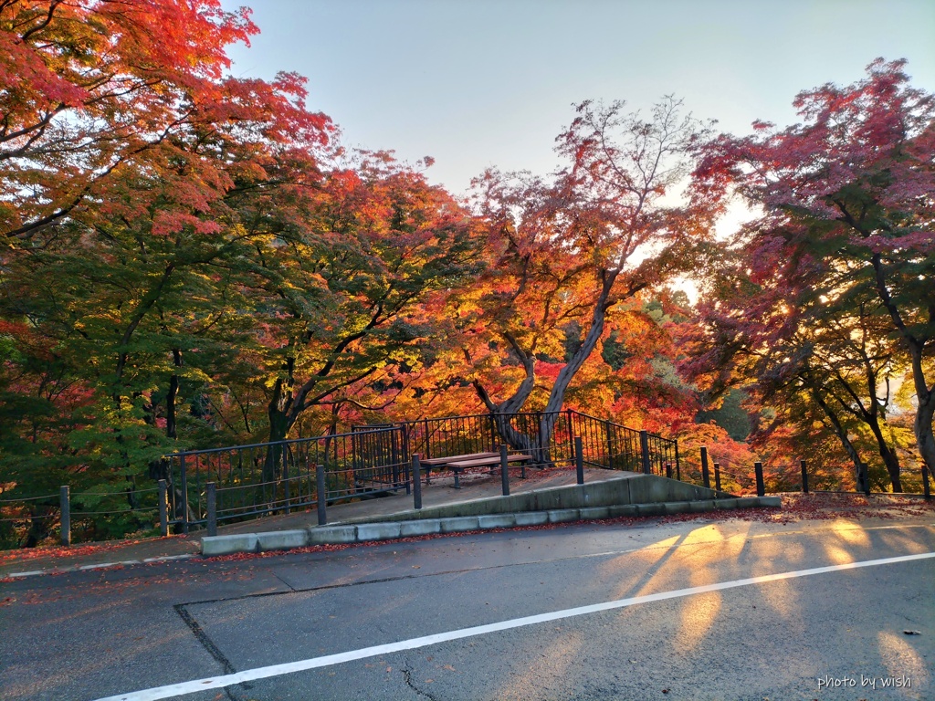 夕陽に煌めく