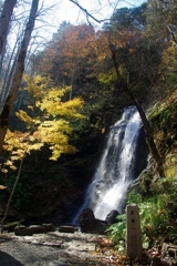 宇津江四十八滝