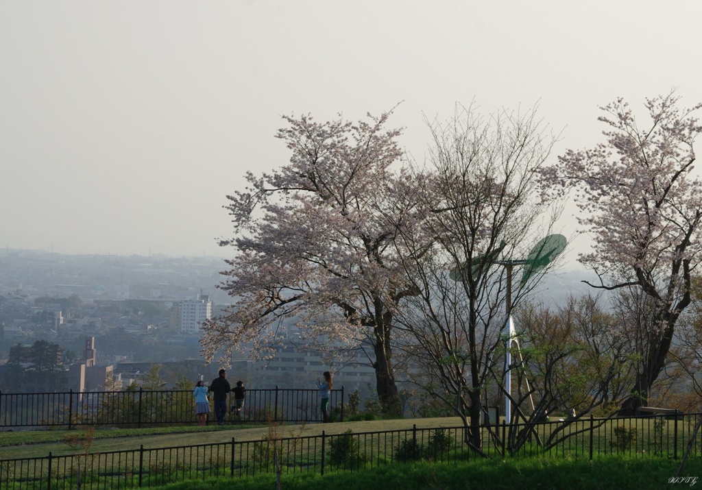 丘の上で