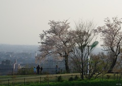 丘の上で