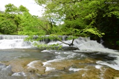 5月の宮島峡