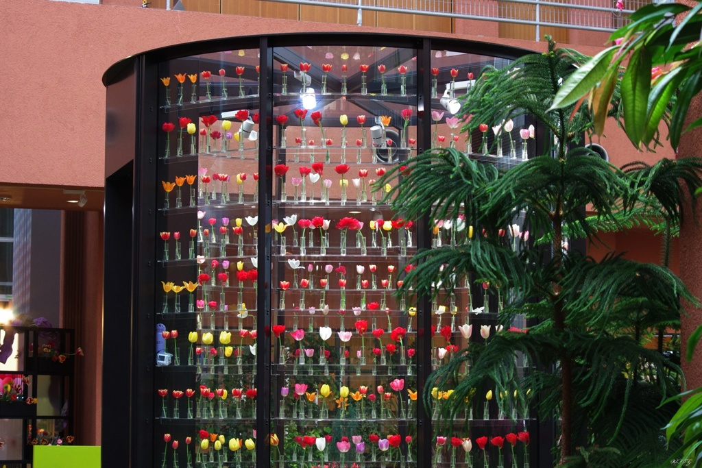 チューリップパレス全体