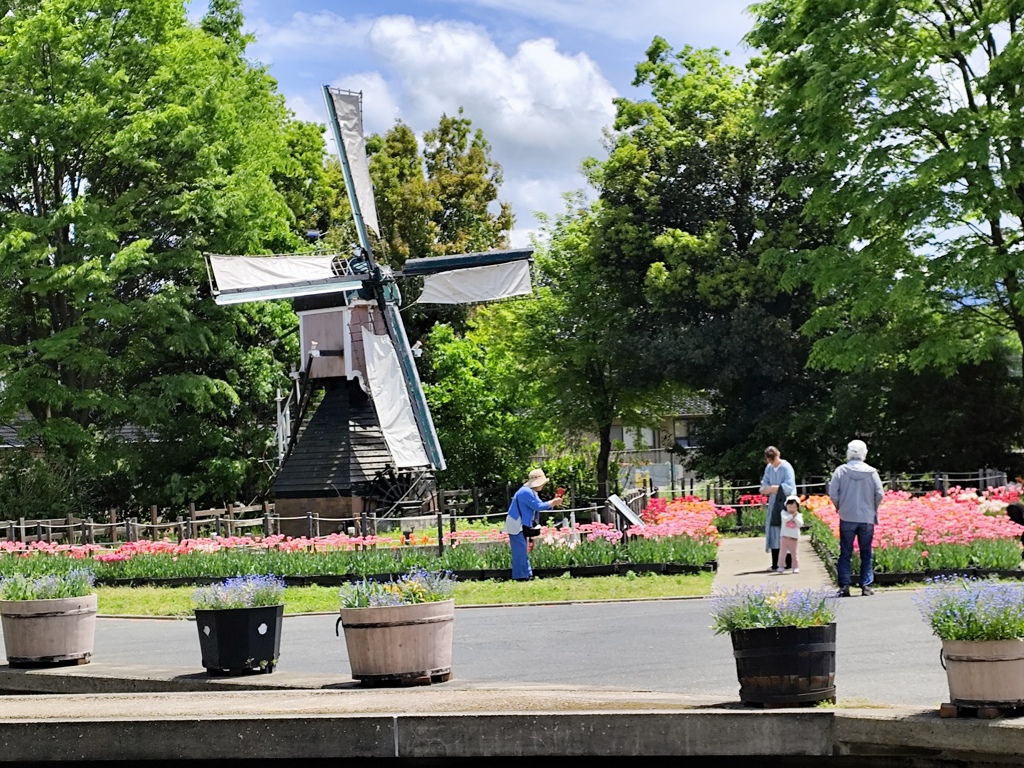 風車のある風景