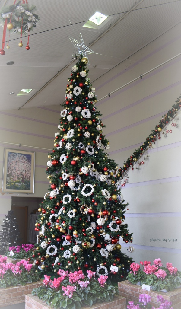 クリスマスツリー