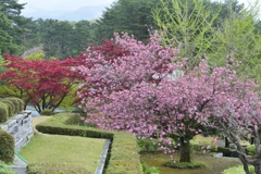 春の風景