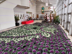 平面で見る干支