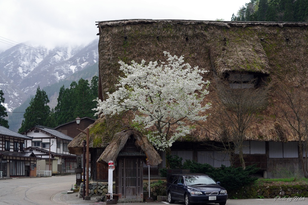 春の風景