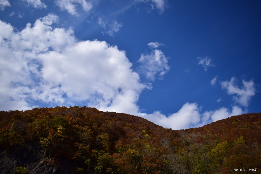 秋空