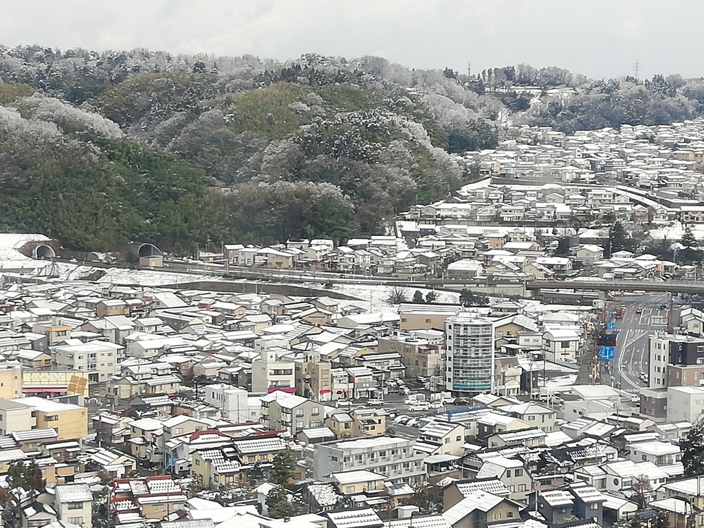 雪景色