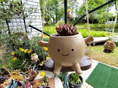 癒し系