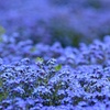 blue
