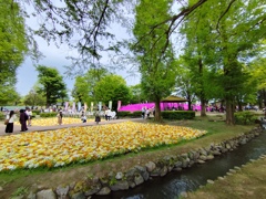 彩り花絨毯