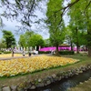 彩り花絨毯