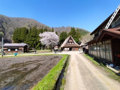 日本の風景