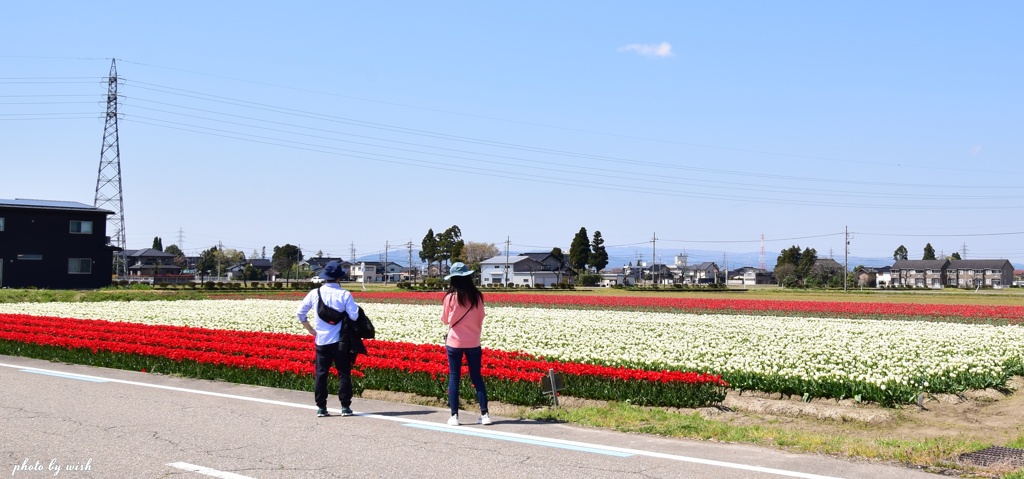 立ち寄り