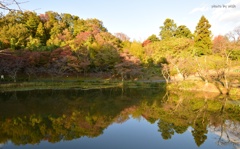 水面に映りこむ風景